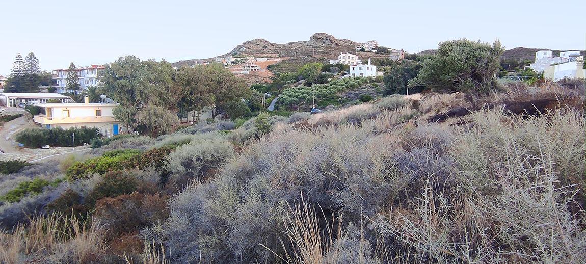 Land plot for sale by owners in Amoudi (Mades) in Agia Pelagia area Crete