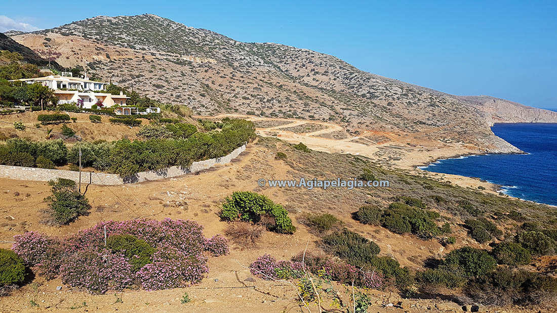 Large land plot and Villa house with 5 studios for sale on Heraklion Crete