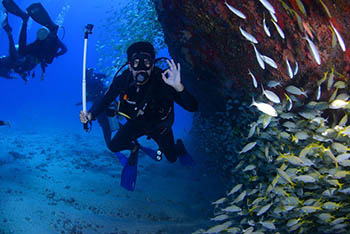 dive in Agia Pelagia