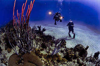  divers in Crete