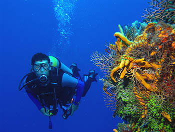 Scuba diving center